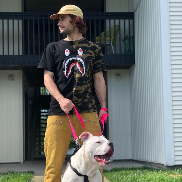 sloppyjophis